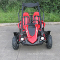 2 Seat Gas Mini Buggy for Kids